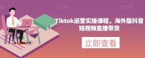 Tiktok运营实操课程，海外版抖音短视频直播带货-林文副业站