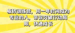 板砖训练营,用一年时间成为专业的人,带你突破行动局限,快速成长-林文副业站