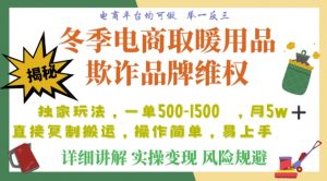 利用电商平台冬季销售取暖用品欺诈行为合理制裁店铺，单日入900+【仅揭秘】-林文副业站