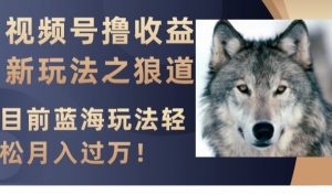 视频号撸收益新玩法之狼道，目前蓝海玩法，轻松月入过万【揭秘】-林文副业站