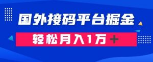 通过国外接码平台掘金：成本1.3，利润10＋，轻松月入1万＋【揭秘】-林文副业站
