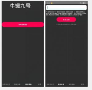 外面价值888的斗音KS最新搬运技术教程-林文副业站