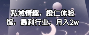 私域情趣，橙仁体验馆，暴利行业，月入2w【揭秘】-林文副业站