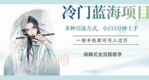 冷门蓝海项目，操作简单，小白3分钟上手，多种引流方式，保姆式全流程教学【揭秘】-林文副业站