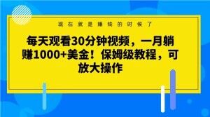 每天观看30分钟视频，一月躺赚1000+美金！保姆级教程，可放大操作【揭秘】-林文副业站