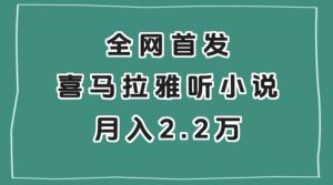 全网首发，喜马拉雅挂机听小说月入2万＋【揭秘】-林文副业站