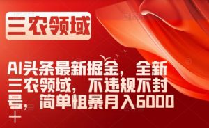 AI头条最新掘金，全新三农领域，不违规不封号，简单粗暴月入6000＋【揭秘】-林文副业站