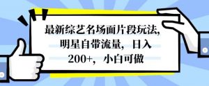 最新综艺名场面片段玩法，明星自带流量，日入200+，小白可做【揭秘】-林文副业站