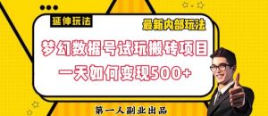 数据号回归玩法游戏试玩搬砖项目再创日入500+【揭秘】-林文副业站