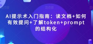 AI提示术入门指南:读文档+如何有效提问+了解token+prompt的结构化【揭秘】-林文副业站