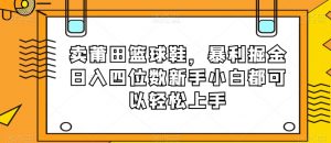 卖莆田篮球鞋，暴利掘金日入四位数新手小白都可以轻松上手【揭秘】-林文副业站
