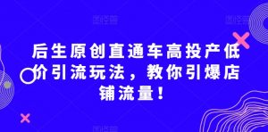后生原创直通车高投产低价引流玩法，教你引爆店铺流量！-林文副业站