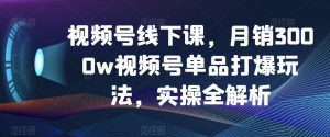 视频号线下课，月销3000w视频号单品打爆玩法，实操全解析-林文副业站