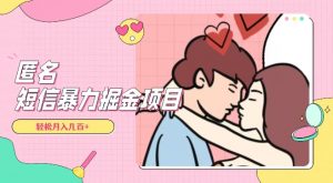 全网首发，揭秘超冷门匿名短信项目，通过信息差日入几百+【揭秘】-林文副业站