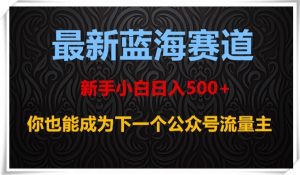 最新蓝海赛道，新手小白日入500+，你也能成为下一个公众号流量主【揭秘】-林文副业站