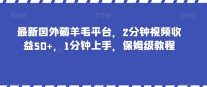 最新国外薅羊毛平台，2分钟视频收益50+，1分钟上手，保姆级教程【揭秘】-林文副业站