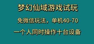 梦幻仙域游戏试玩,免微信玩法,单机40-70,一个人同时操作十台设备【揭秘】-林文副业站