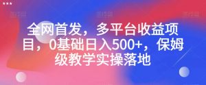 全网首发，多平台收益项目，0基础日入500+，保姆级教学实操落地【揭秘】-林文副业站