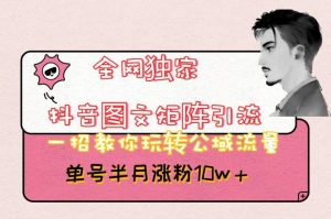 全网独家抖音图文矩阵引流，一招教你玩转公域流量，单号半月涨粉10w+【揭秘】-林文副业站
