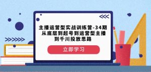 主播运营型实战训练营-第34期从底层到起号到运营型主播到千川投放思路-林文副业站