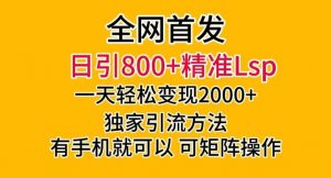 全网首发！日引800+精准老色批，一天变现2000+，独家引流方法，可矩阵操作【揭秘】-林文副业站