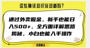 通过外卖掘金，新手也能日入500+，全方面详解思路揭秘，小白也能上手操作【揭秘】-林文副业站
