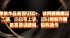 单条作品变现5000+、外网视频搬运二创，小白可上手，10分钟制作爆款高原创视频，矩阵操作【揭秘】-林文副业站