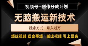 视频号无脑搬运新技术，破原创壕流量，独家方式，爆过视频，还会再爆【揭秘】-林文副业站