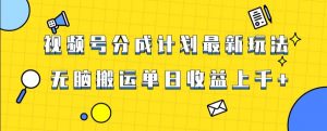 视频号最新爆火赛道玩法，只需无脑搬运，轻松过原创，单日收益上千【揭秘】-林文副业站