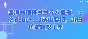 蓝海赛道拼多多无人直播，日入2600+，0成本变现，小白也能轻松上手【揭秘】-林文副业站