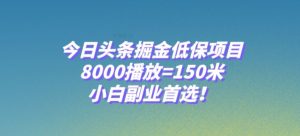 今日头条掘金低保项目，8000播放=150米，小白副业首选【揭秘】-林文副业站