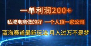 一单利润200私域电商做的好，一个人顶一家公司蓝海赛道最新玩法【揭秘】-林文副业站