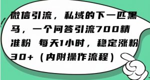 怎么搞精准创业粉?微信新赛道,每天一小时,利用Ai一个问答日引100精准粉-林文副业站