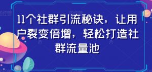 11个社群引流秘诀,让用户裂变倍增,轻松打造社群流量池-林文副业站