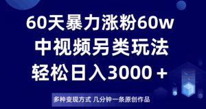 60天暴力涨粉60W，中视频另类玩法，日入3000＋，几分钟一条原创作品多种变现方式-林文副业站