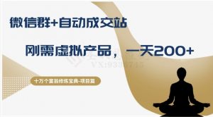 十万个富翁修炼宝典之8.微信群+自动成交站，刚需虚拟产品，一天200+-林文副业站