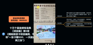 十万个富翁修炼宝典之5.揭秘旅游卡项目骗局，号称“一张卡赚500，一天能卖两三张”-林文副业站
