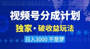 视频号分成计划，独家·破收益玩法，日入3000不是梦【揭秘】-林文副业站