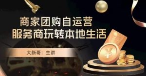 大新哥·商家团购自运营-玩转本地生活-林文副业站