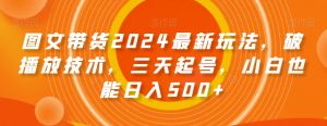 图文带货2024最新玩法，破播放技术，三天起号，小白也能日入500+【揭秘】-林文副业站