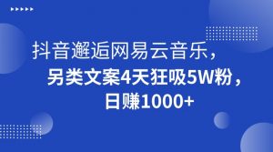 抖音邂逅网易云音乐，另类文案4天狂吸5W粉，日赚1000+【揭秘】-林文副业站