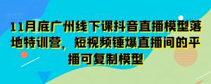 11月底广州线下课抖音直播模型落地特训营，短视频锤爆直播间的平播可复制模型-林文副业站