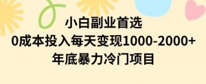 小白副业首选，0成本投入，每天变现1000-2000年底暴力冷门项目【揭秘】-林文副业站