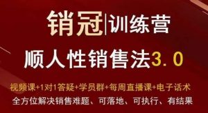 爆款!销冠训练营3.0之顺人性销售法,全方位解决销售难题、可落地、可执行、有结果-林文副业站
