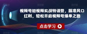 视频号短视频实战特训营，踩准风口红利，轻松开启视频号爆单之路-林文副业站