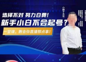 大左教您从0到1做直播带货,选择不对,努力白费,5小时课程搞定那点事,解决你起号问题-林文副业站