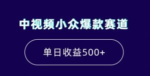 中视频小众爆款赛道，7天涨粉5万+，小白也能无脑操作，轻松月入上万【揭秘】-林文副业站
