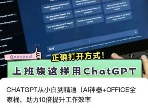 CHATGPT从小白到精通，AI神器+OFFICE全家桶，助力10倍提升工作效率-林文副业站