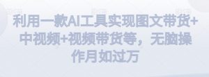 利用一款AI工具实现图文带货+中视频+视频带货等,无脑操作月如过万【揭秘】-林文副业站