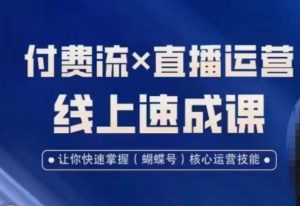 视频号付费流实操课程，付费流✖️直播运营速成课，让你快速掌握视频号核心运营技能-林文副业站